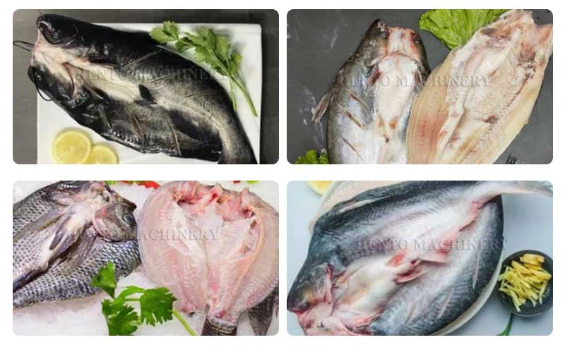 live fish gutting machine