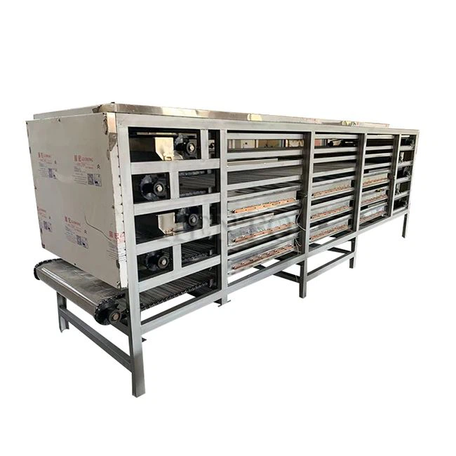 Conveyor Belt Dehydrator